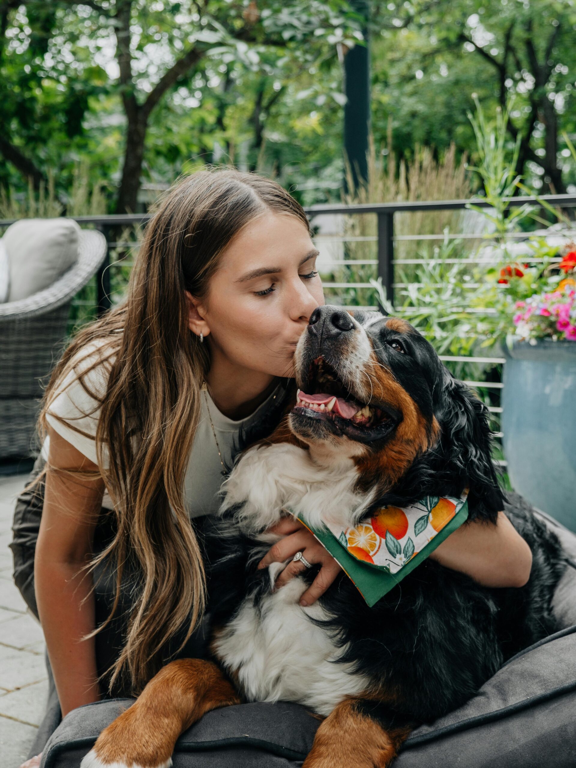 Impact Dog Crates High Anxiety Model: Polish Woman’s Top Choice for Her Bernese Mountain Dog