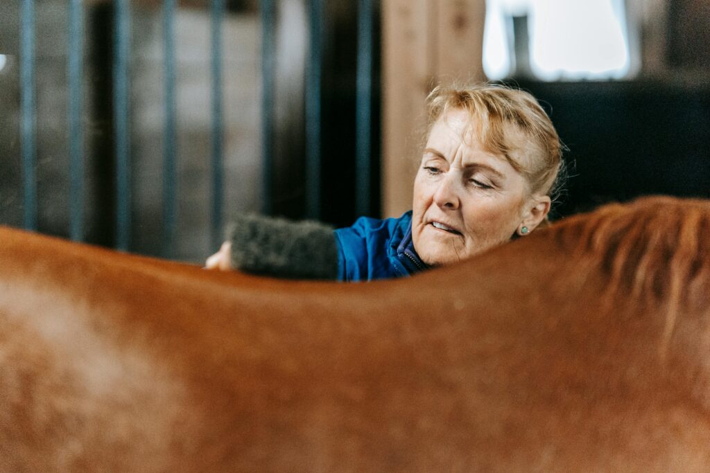 Close-Up Shot of a Woman Brushing a Horse